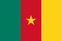 Vlag van Kameroen